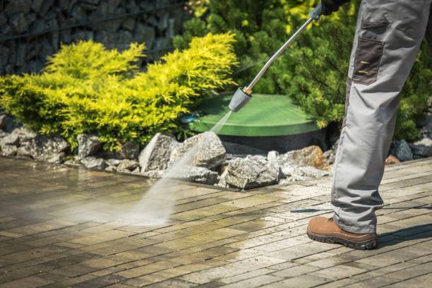 Best Sidewalk and Walkway Cleaning  in Frazier Park, CA