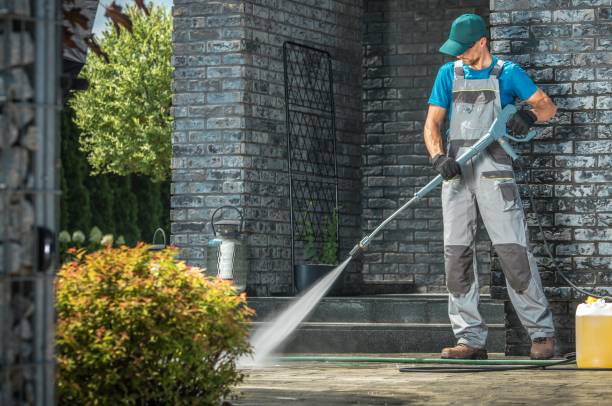 Best Animal Enclosure Cleaning  in Frazier Park, CA