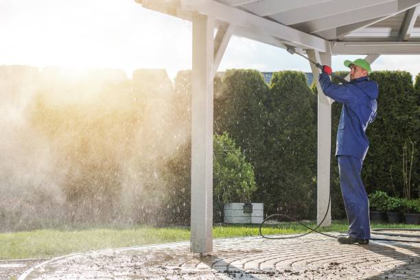 Best Roof Washing  in Frazier Park, CA